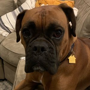 Meet your Posher, Ali